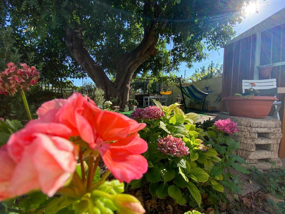 La Casa Del Carrubo Villa Cagliari Kültér fotó